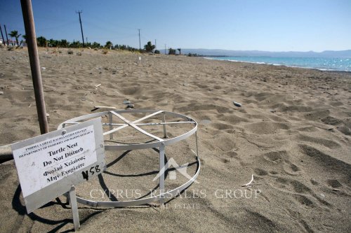 Черепашье гнездо на пляже в Аргаке, Кипр.