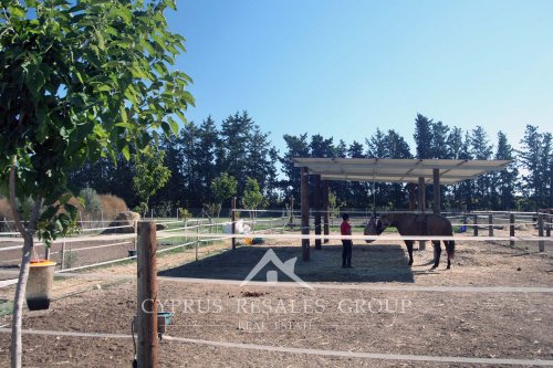 Конный клуб в Героскипу - уроки и поездки на лошадях и пони