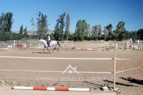 Конный клуб Героскипу в Пафосе - конные поездки и уроки