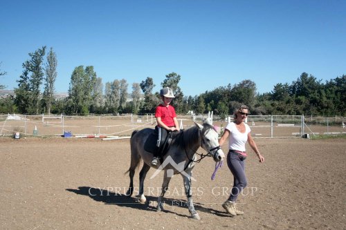 Конный клуб Героскипу - поездки на пони для детей