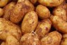 Кипрский картофель, известный во всем мире как «Новый картофель», собирают круглый год. 