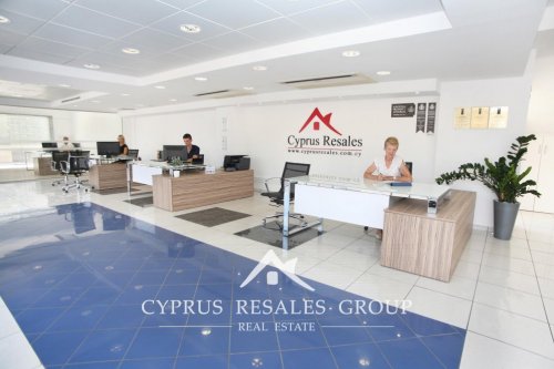 Интерьер главного офиса в Пафосе Cyprus Resales Group